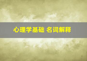 心理学基础 名词解释